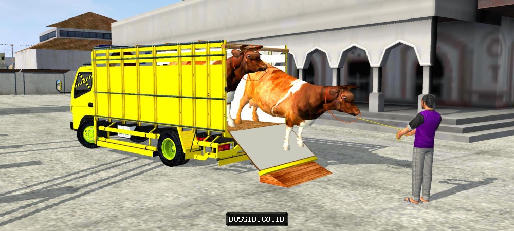 Canter Muat Sapi