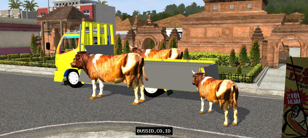 Canter Dropside Muat Sapi